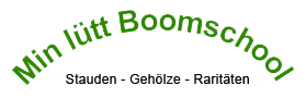 Logo Boomschool